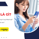 so gttt la gi?