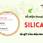 so dien thoai silica la gi?