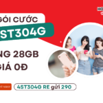 goi 4st304g viettel