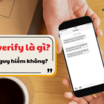 mverify la gi?