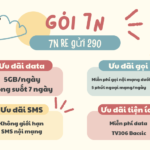 goi 7n viettel