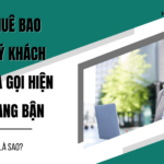 thue bao quy khach vua goi hien dang ban