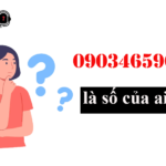 so dien thoai 0903456968