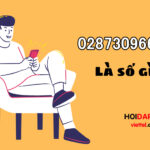 02873096639 là số gì?