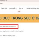 Kho Đức Trọng SOC ở đâu?